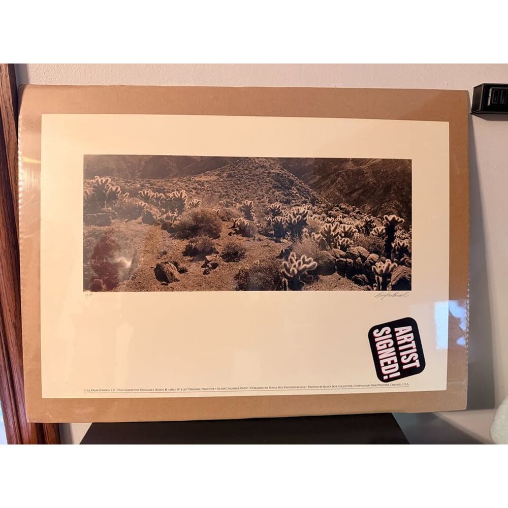 Douglas I. Busch Palm Springs, CA Collotype Print Poster Signed